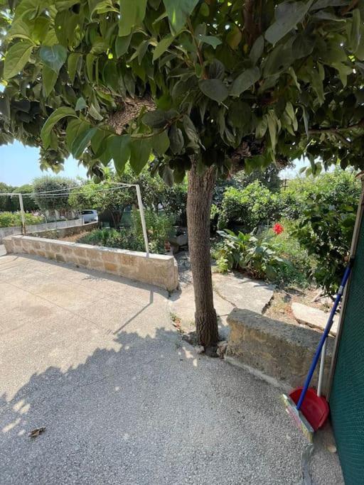 Apartment Casa Fara